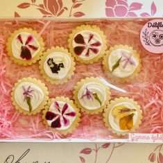 Déliflora gamme éphéfloral assortiment